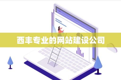 西丰专业的网站建设公司