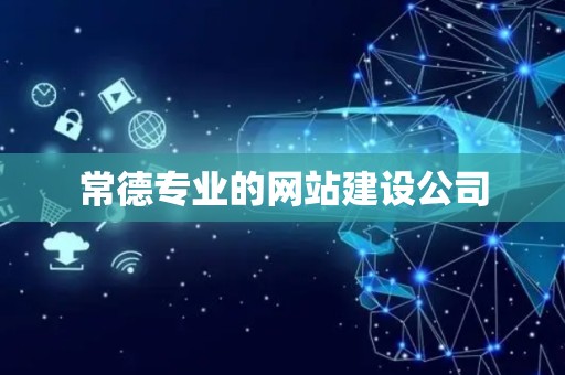 常德专业的网站建设公司