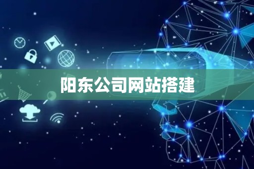 阳东公司网站搭建