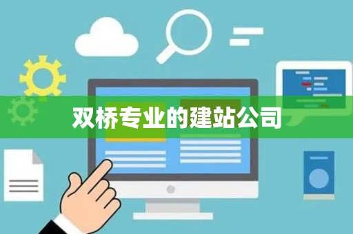 双桥专业的建站公司
