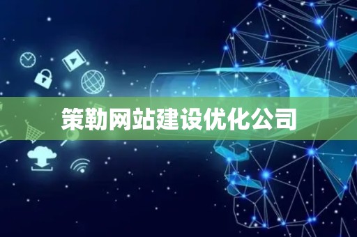 策勒网站建设优化公司
