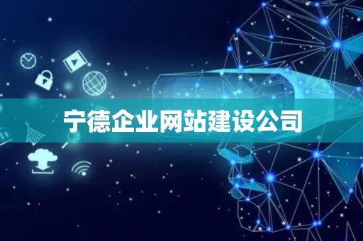 宁德企业网站建设公司