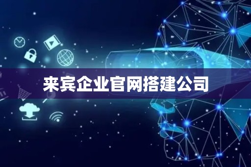 来宾企业官网搭建公司