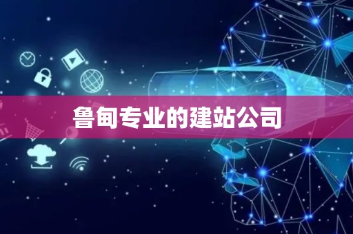 鲁甸专业的建站公司