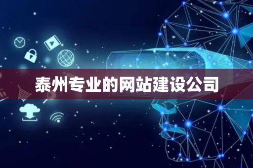 泰州专业的网站建设公司