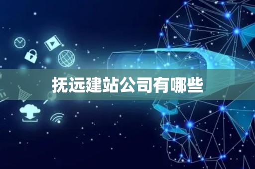 抚远建站公司有哪些