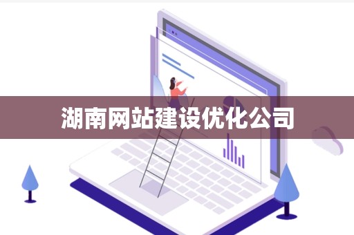 湖南网站建设优化公司