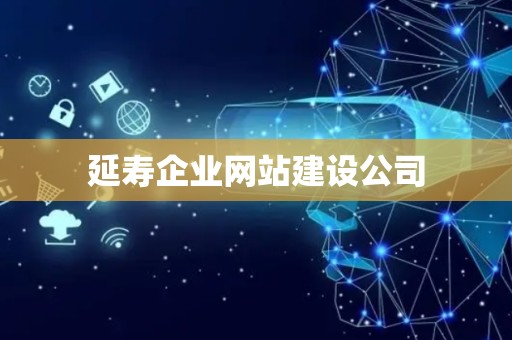 延寿企业网站建设公司