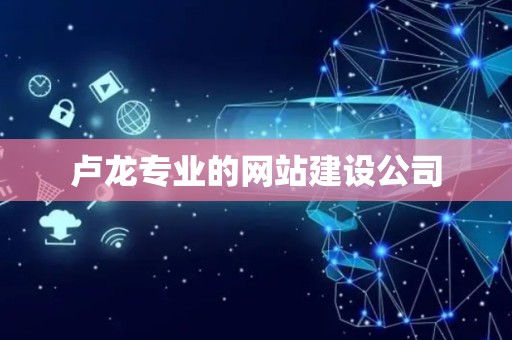 卢龙专业的网站建设公司