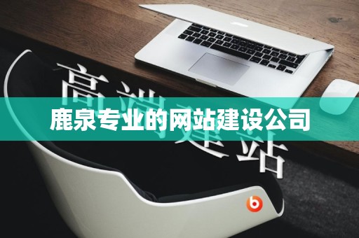 鹿泉专业的网站建设公司