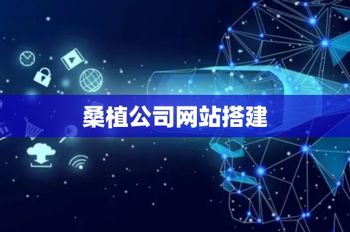 桑植公司网站搭建