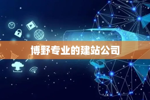 博野专业的建站公司